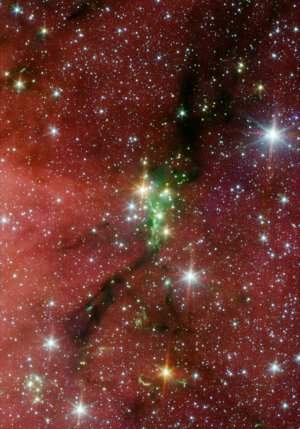 Crédit : NASA/JPL-Caltech/L. Allen (Harvard-Smithsonian CfA) & Gould's Belt Legacy Team