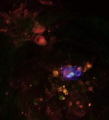 Crédit : NASA/CXC/UIUC/R.Williams et al.; Optical: NOAO/CTIO/MCELS coll.; Radio: ATCA/UIUC/R.Williams et al.