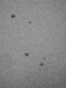 LASTROFIEFFE - Taches solaires