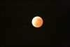 Bernard QUIROGA - Eclipse Totale de Lune