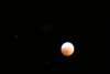 Christel CLAVIER - Eclipse Totale de Lune