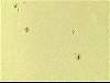 Claude DIOT - Taches solaires