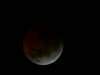 Christian VEEGAERT - Eclipse Totale de Lune