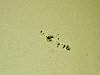 Didier DERAEDT - Tache solaire 1726