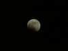 Didier TELLIER - Eclipse Totale de Lune