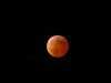 Didier TELLIER - Eclipse Totale de Lune