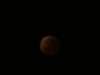 Gilles PAVY - Eclipse Totale de Lune
