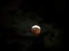 Guillaume RIBAUDO - Eclipse Partielle de Lune