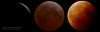 LASTROFIEFFE - Eclipse Totale de Lune