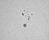 Laurent LANGELEZ - Tache solaire 1024