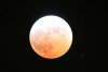 Sylvain PERSHON - Eclipse Totale de Lune
