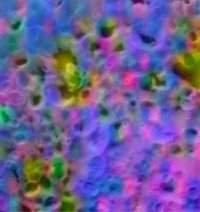 Crédit : NASA/JPL/University of Arizona/Ames