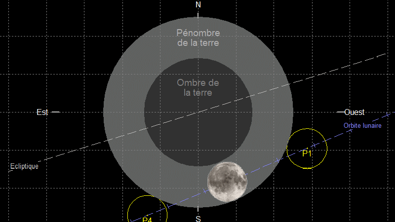 EcL_050523.gif